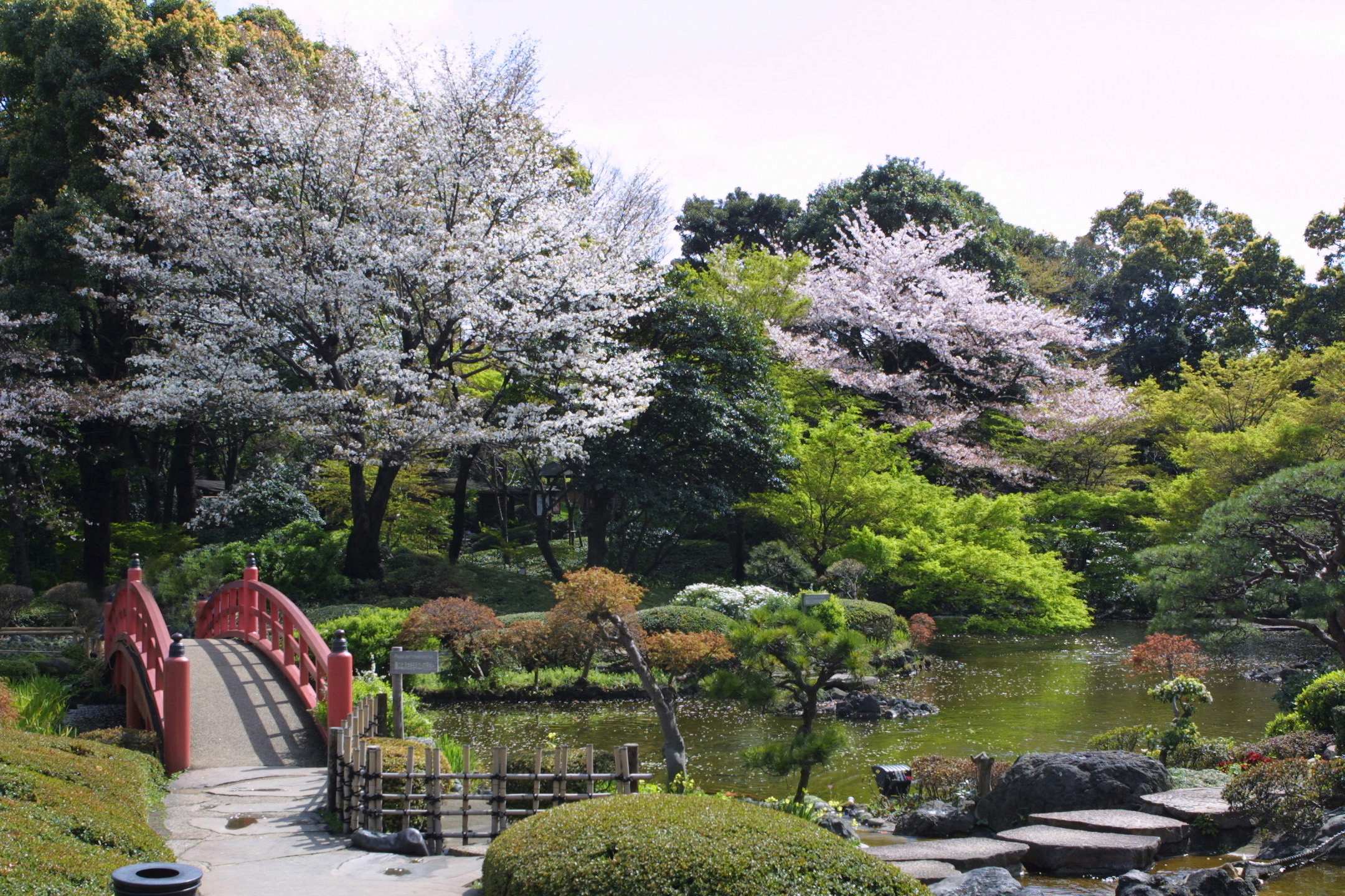 Japanese Garden Spring
